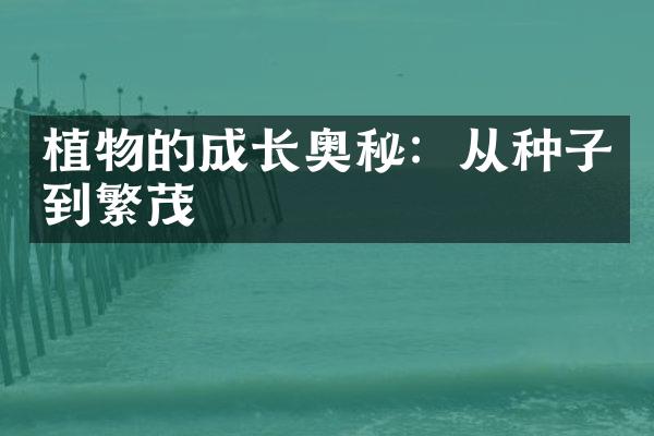 植物的成长奥秘：从种子到繁茂