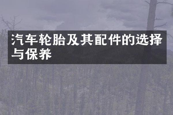 汽车轮胎及其配件的选择与保养