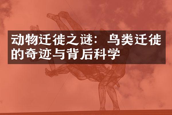 动物迁徙之谜：鸟类迁徙的奇迹与背后科学