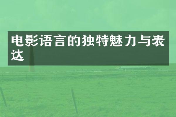 电影语言的独特魅力与表达