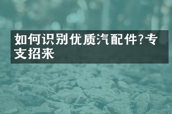 如何识别优质汽配件?专家支招来