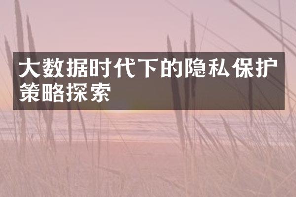 大数据时代下的隐私保护策略探索