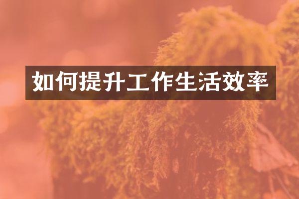 如何提升工作生活效率