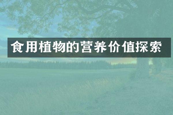 食用植物的营养价值探索