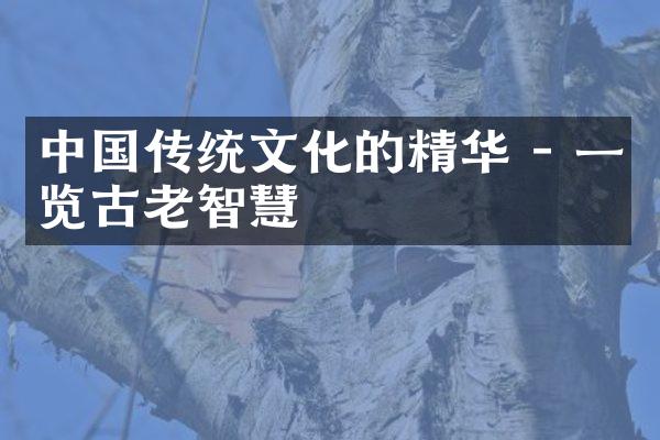 中国传统文化的精华 - 一览古老智慧
