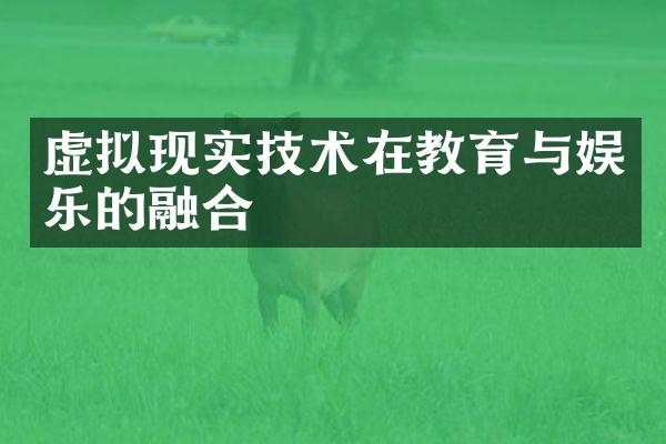 虚拟现实技术在教育与娱乐的融合