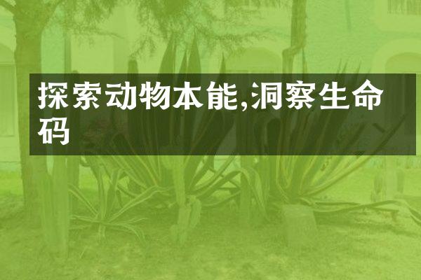 探索动物本能,洞察生命密码