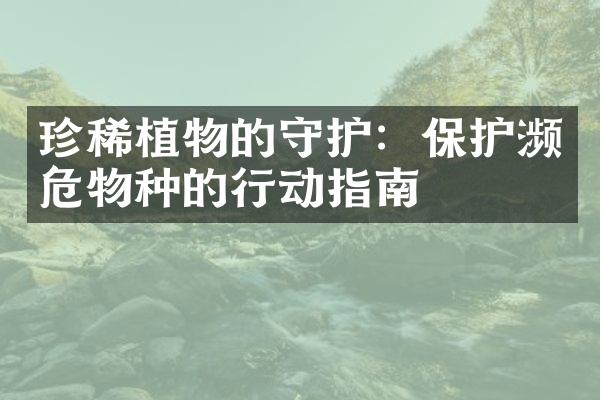珍稀植物的守护：保护濒危物种的行动指南