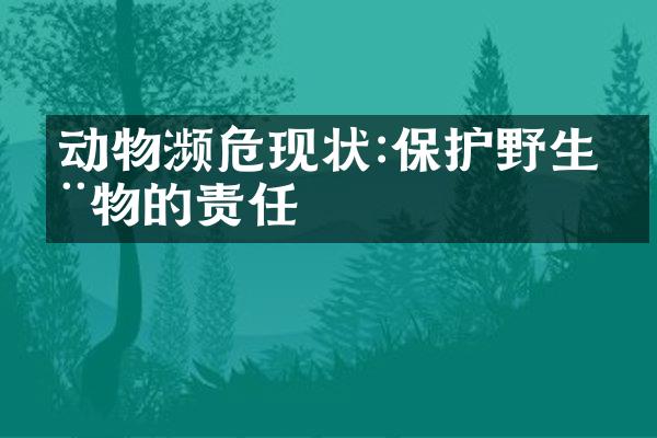 动物濒危现状:保护野生动物的责任