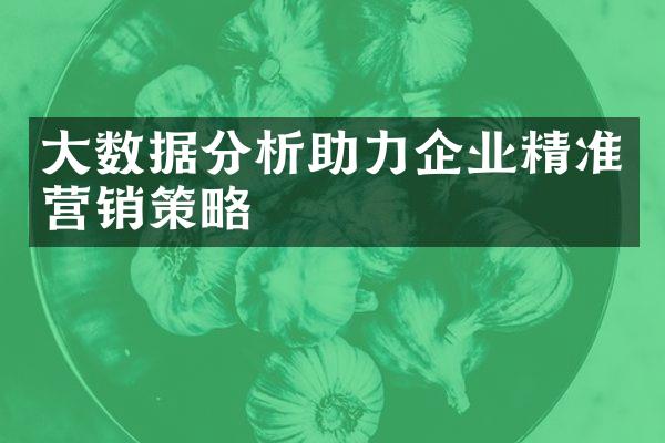 大数据分析助力企业精准营销策略