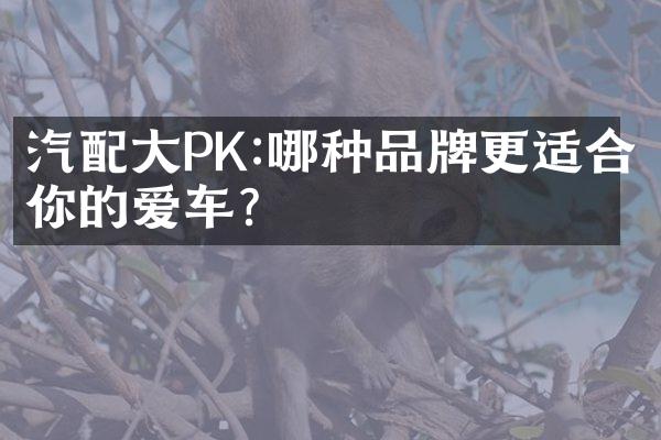 汽配大PK:哪种品牌更适合你的爱车?