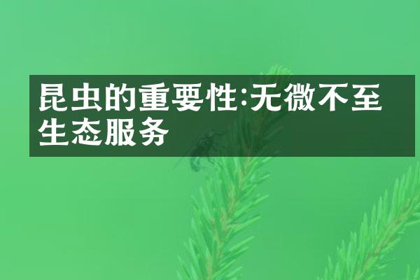 昆虫的重要性:无微不至的生态服务