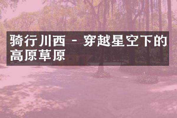 骑行川西 - 穿越星空下的高原草原