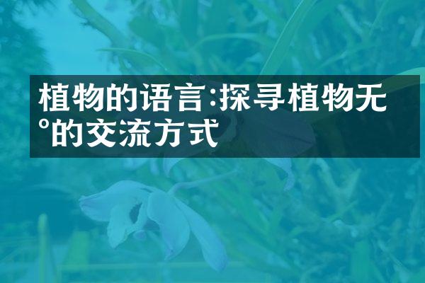 植物的语言:探寻植物无声的交流方式