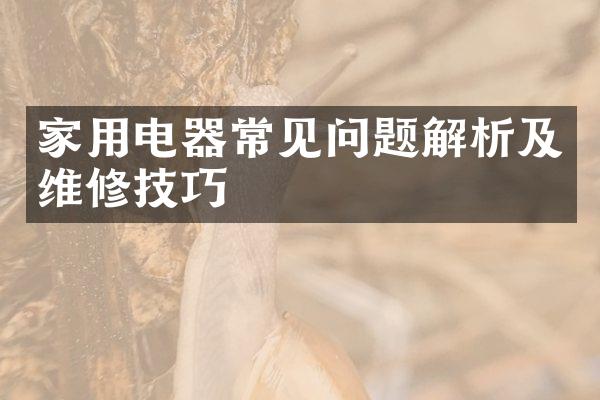 家用电器常见问题解析及维修技巧