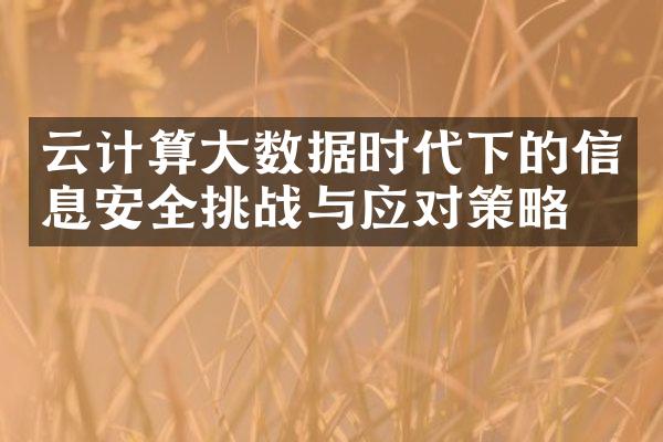 云计算大数据时代下的信息安全挑战与应对策略