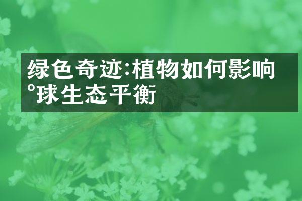 绿色奇迹:植物如何影响地球生态平衡