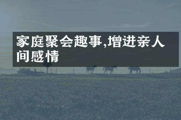 家庭聚会趣事,增进亲人之间感情