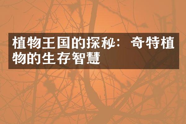 植物王国的探秘：奇特植物的生存智慧