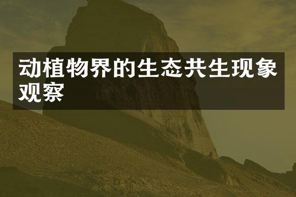 动植物界的生态共生现象观察