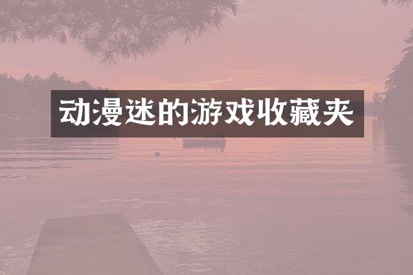 动漫迷的游戏收藏夹