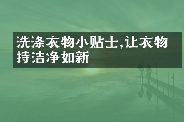 洗涤衣物小贴士,让衣物保持洁净如新