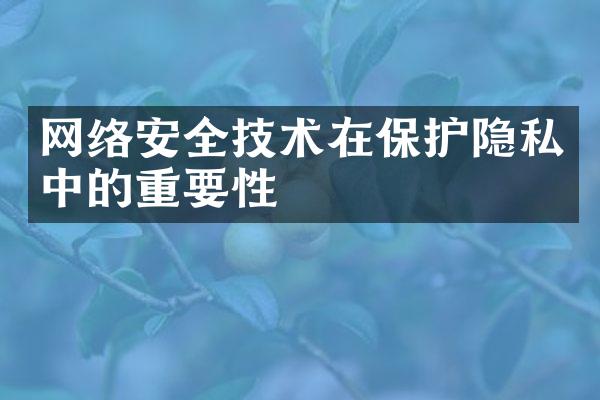 网络安全技术在保护隐私中的重要性