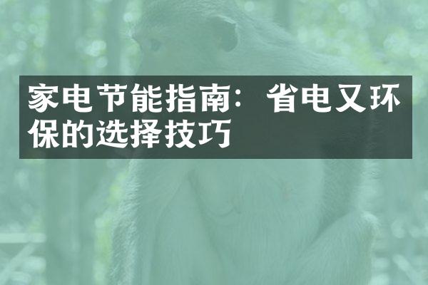 家电节能指南：省电又环保的选择技巧