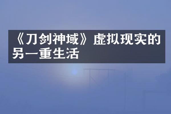《刀剑神域》虚拟现实的另一重生活