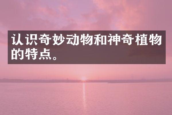 认识奇妙动物和神奇植物的特点。