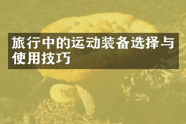 旅行中的运动装备选择与使用技巧