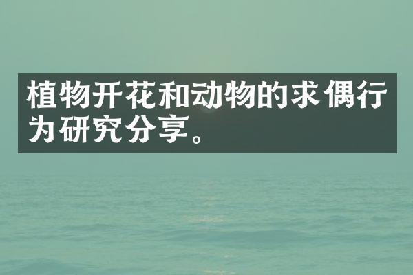 植物开花和动物的求偶行为研究分享。