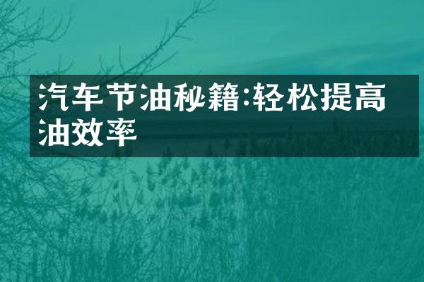 汽车节油秘籍:轻松提高燃油效率