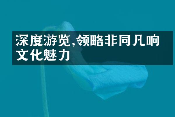 深度游览,领略非同凡响的文化魅力