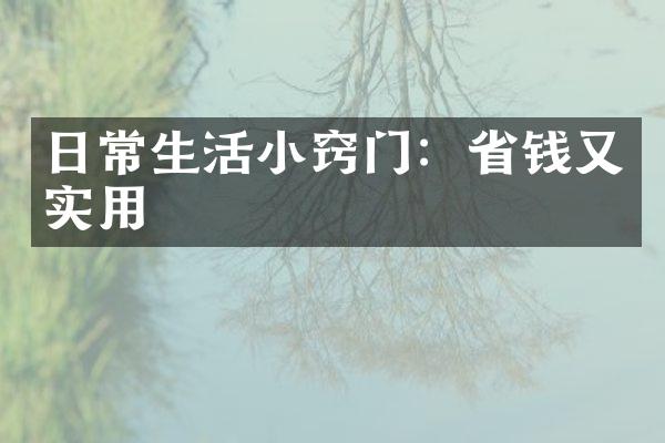日常生活小窍门：省钱又实用