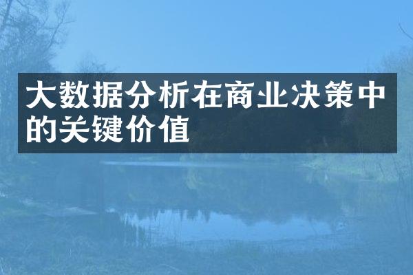 大数据分析在商业决策中的关键价值