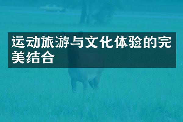 运动旅游与文化体验的完美结合