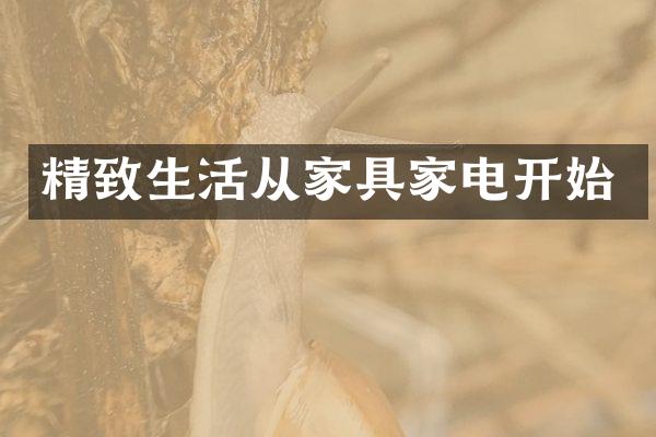精致生活从家具家电开始