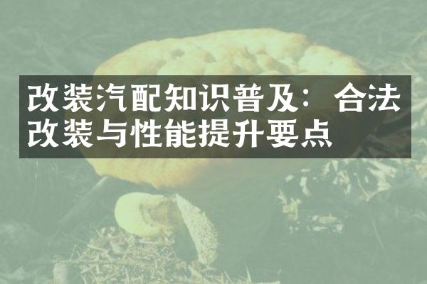 改装汽配知识普及：合法改装与性能提升要点