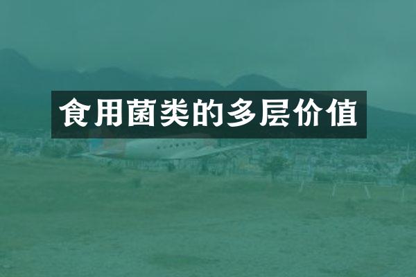 食用菌类的多层价值