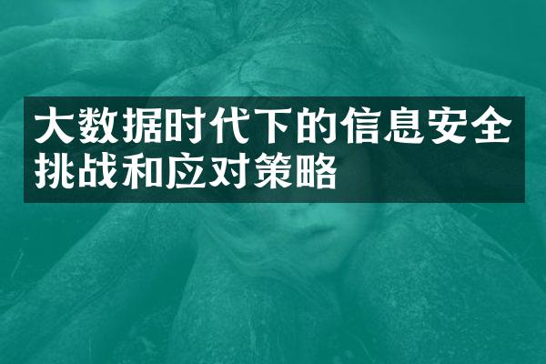 大数据时代下的信息安全挑战和应对策略