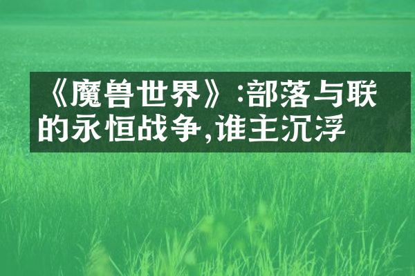 《魔兽世界》:部落与联盟的永恒战争,谁主沉浮