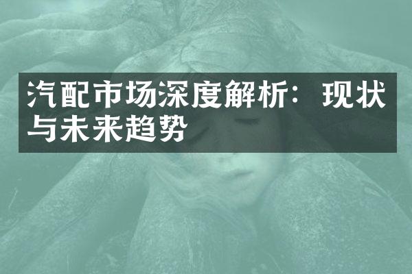 汽配市场深度解析：现状与未来趋势