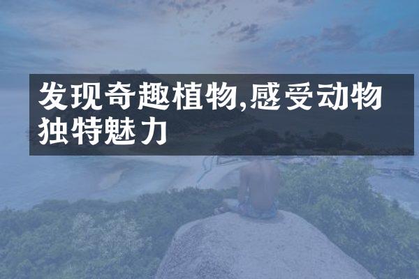 发现奇趣植物,感受动物的独特魅力