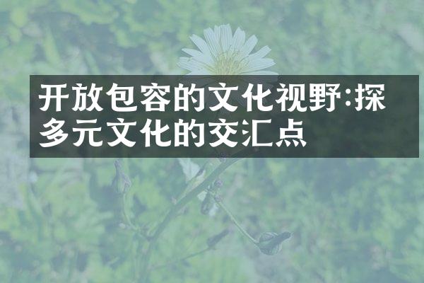 开放包容的文化视野:探索多元文化的交汇点