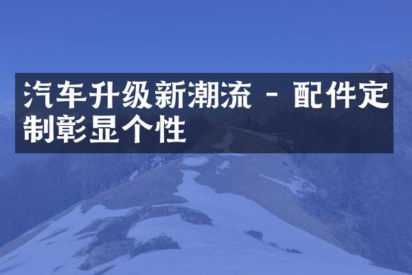 汽车升级新潮流 - 配件定制彰显个性