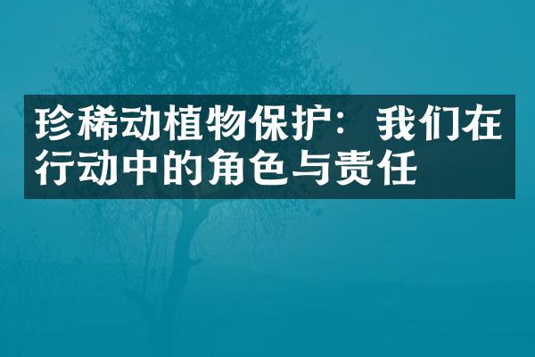 珍稀动植物保护：我们在行动中的角色与责任
