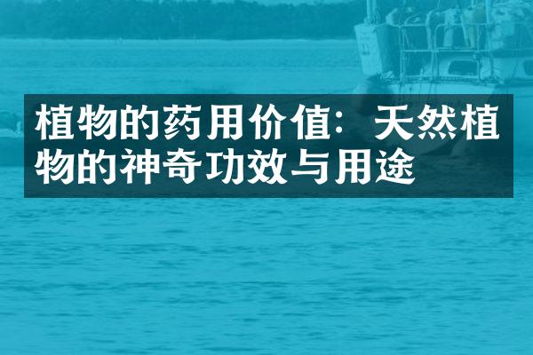 植物的药用价值：天然植物的神奇功效与用途