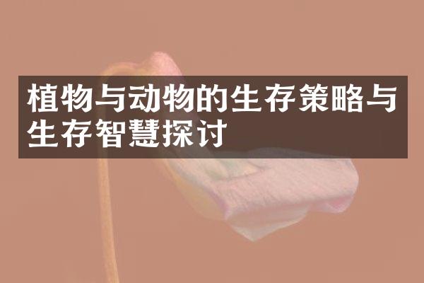 植物与动物的生存策略与生存智慧探讨