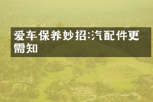 爱车保养妙招:汽配件更换需知